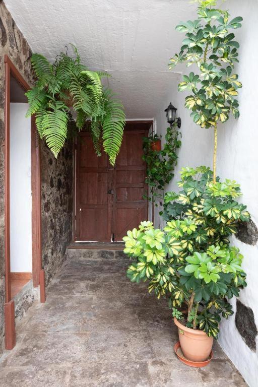 Casa Canaria Acero Garachico  Kültér fotó