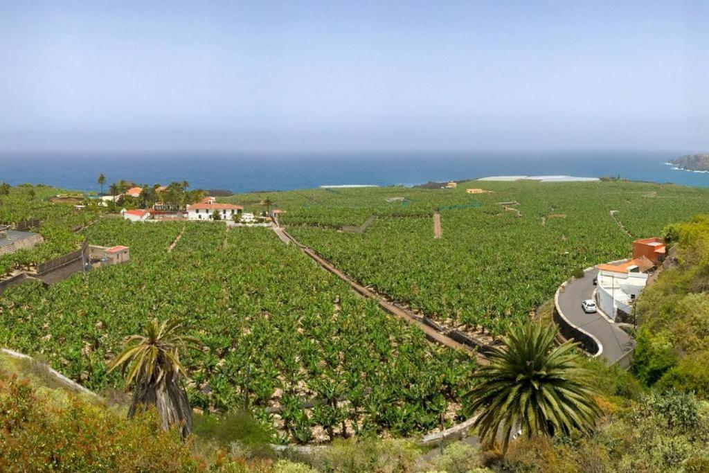 Casa Canaria Acero Garachico  Kültér fotó